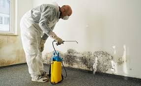 Why You Should Choose Our Mold Remediation Services in Chesilhurst, NJ